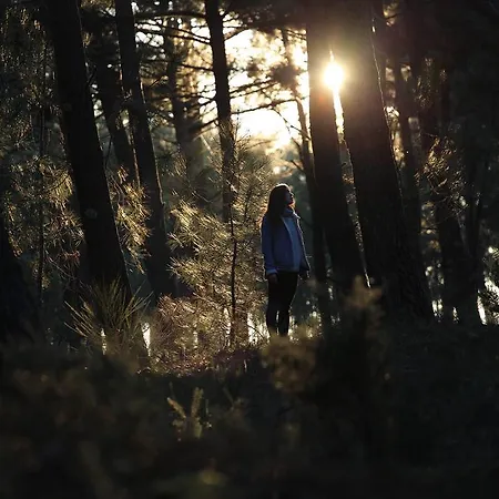 Les Cabanes De Talais 빌라