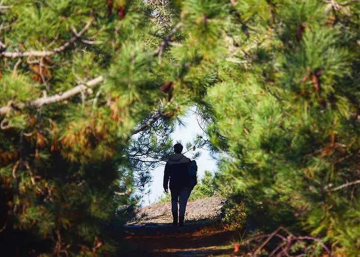 Les Cabanes De Talais