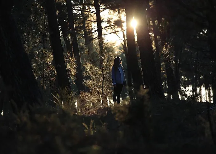 Les Cabanes De Talais Villa