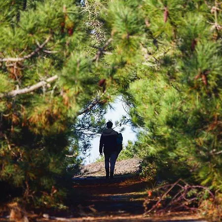 Les Cabanes De Talais
